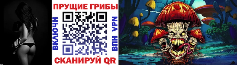 Псилоцибиновые грибы ЛСД Бор