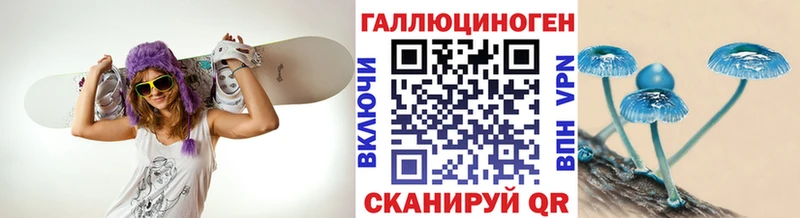 даркнет сайт Бор Псилоцибиновые грибы Psilocybine cubensis