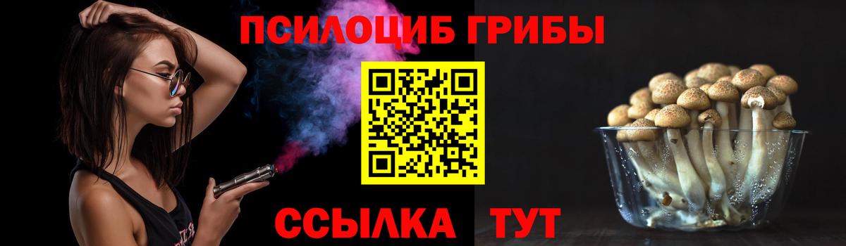Псилоцибиновые грибы Psilocybine cubensis  Псилоцибиновые грибы Cubensis  Вход с VPN  Бор 