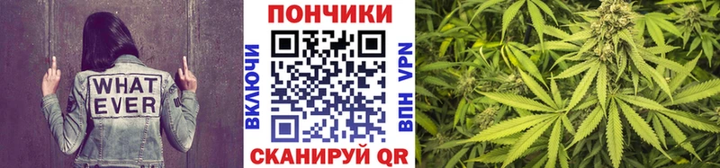 Бошки Шишки Bruce Banner  закладка  Бор 